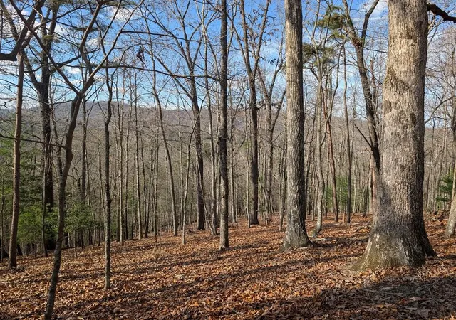 Photo 1 of Land for sale at 902 Mountain Top Dr, Murphy, NC 28906 | MLS# 98544056 | Listing updated on 2026-08-19