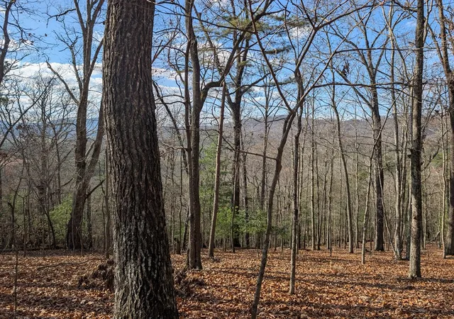 Photo 3 of Land for sale at 902 Mountain Top Dr, Murphy, NC 28906 | MLS# 98544056 | Listing updated on 2026-08-19