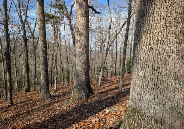 Photo 3 of Land for sale at 902 Mountain Top Dr, Murphy, NC 28906 | MLS# 98544056 | Listing updated on 2026-08-19