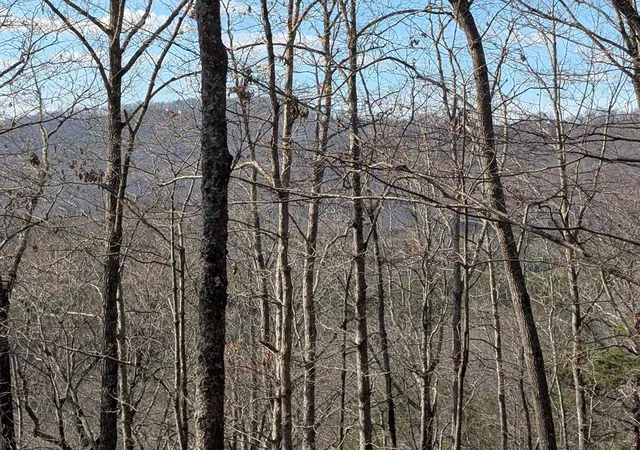 Photo 4 of Land for sale at 902 Mountain Top Dr, Murphy, NC 28906 | MLS# 98544056 | Listing updated on 2026-08-19