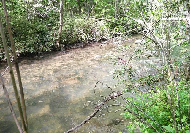Photo 1 of Land for sale at Lot 9 Mcdonald Rd, Murphy, NC 28906 | MLS# 98544501 | Listing updated on 2026-08-19