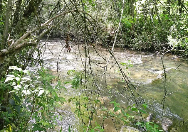 Photo 2 of Land for sale at Lot 9 Mcdonald Rd, Murphy, NC 28906 | MLS# 98544501 | Listing updated on 2026-08-19