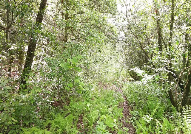 Photo 4 of Land for sale at Lot 9 Mcdonald Rd, Murphy, NC 28906 | MLS# 98544501 | Listing updated on 2026-08-19