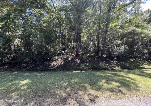 Photo 3 of Land for sale at Lot#43,43a Windy Point, Belhaven, NC 27810 | MLS# 100595412 | Listing updated on 2026-08-19