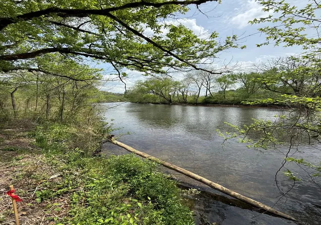 Photo 1 of Land for sale at 2401 E Us 64 Alt, Murphy, NC 28906 | MLS# 98544252 | Listing updated on 2026-08-19