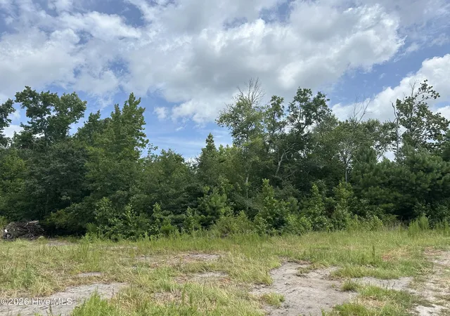 1st image of Near 99 Andrews Lake Dr, Tabor City, NC 28463 | MLS# 100591504