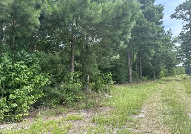 2nd image of Near 99 Andrews Lake Dr, Tabor City, NC 28463 | MLS# 100591504