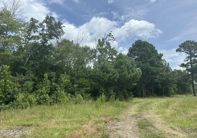 3rd image of Near 99 Andrews Lake Dr, Tabor City, NC 28463 | MLS# 100591504