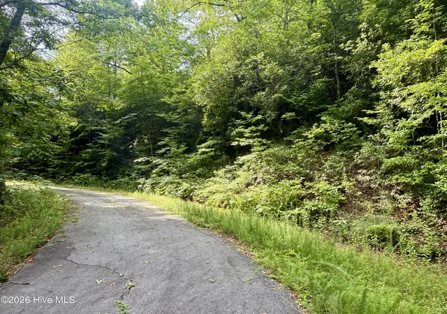 Photo 4 of Land for sale at Lot 6&11 Big Choga Rd, Topton, NC 28781 | MLS# 100598246 | Listing updated on 2026-09-18