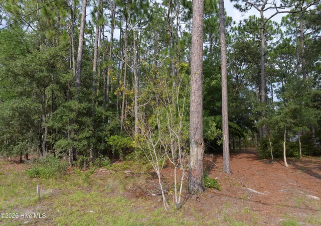 Photo 3 of Land for sale at 881 Eden Dr, Southport, NC 28461 | MLS# 100598949 | Listing updated on 2026-08-26