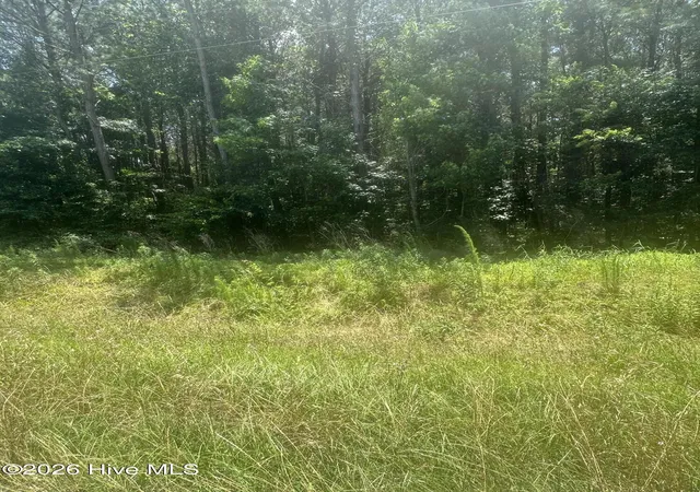 1st image of Near 721 Near 721 Joe Piver R Rd, Chadbourn, NC 28431 | MLS# 100598129
