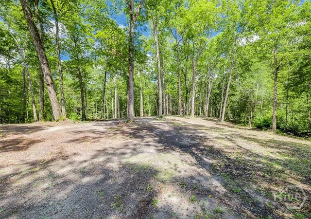 Photo 65 of Single family home for sale at 131 High Blf Rd, Rincon, GA 31326 | MLS# SA362684 | Listing updated on 2026-08-23