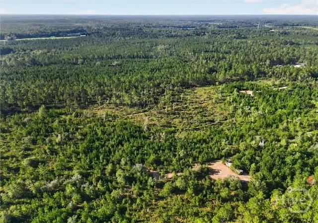 Photo 3 of Land for sale at 4858 Ga Hwy 17 N, Guyton, GA 31312 | MLS# SA363176 | Listing updated on 2026-09-10