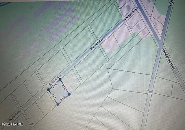 Photo 1 of Land for sale at Lot 2 Sunset Avenue Rd, Willard, NC 28478 | MLS# 100599140 | Listing updated on 2026-08-26