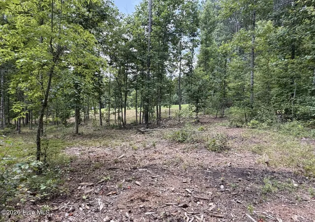 Photo 3 of Land for sale at 502 Landing Dr, Murphy, NC 28906 | MLS# 100597273 | Listing updated on 2026-08-19