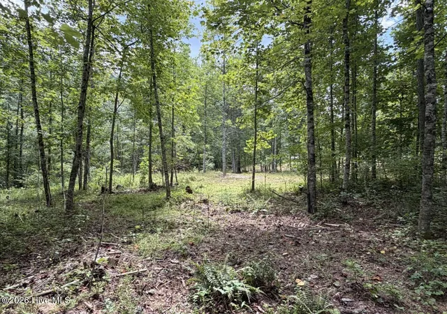 Photo 4 of Land for sale at 502 Landing Dr, Murphy, NC 28906 | MLS# 100597273 | Listing updated on 2026-08-19