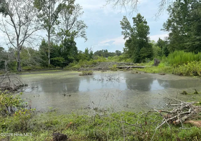 14th image of 0 Poole Melton Rd, Blythe, GA 30805 | MLS# 100599027