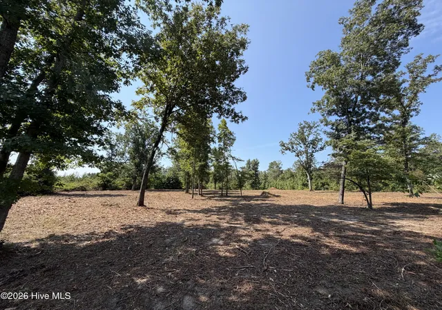 1st image of 0 Poole Melton Rd, Blythe, GA 30805 | MLS# 100599027