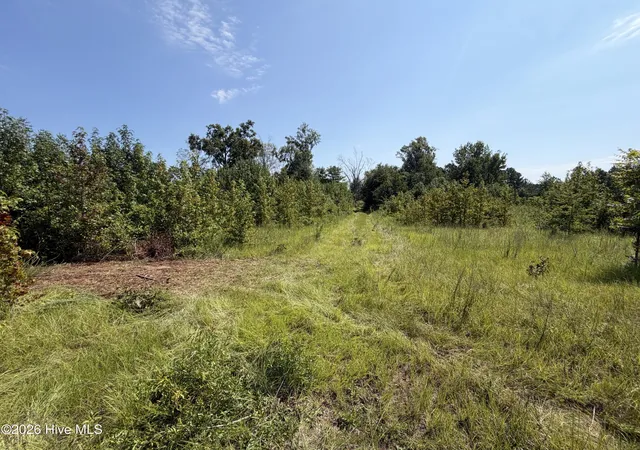 2nd image of 0 Poole Melton Rd, Blythe, GA 30805 | MLS# 100599027
