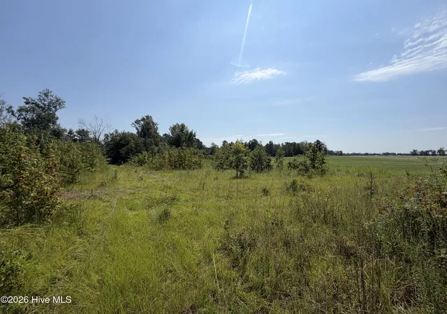 3rd image of 0 Poole Melton Rd, Blythe, GA 30805 | MLS# 100599027