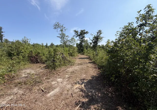 4th image of 0 Poole Melton Rd, Blythe, GA 30805 | MLS# 100599027