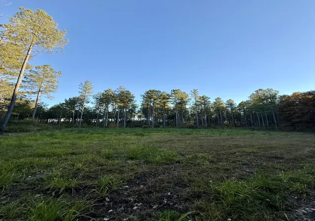 Photo 1 of Land for sale at 0 Christian Rd, Mc Cormick, SC 29835 | MLS# 98254573 | Listing updated on 2026-08-18