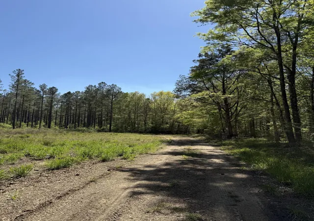 Photo 3 of House for sale at 0 Christian Rd, Mc Cormick, SC 29835 | MLS# 98254573 | Listing updated on 2026-08-18