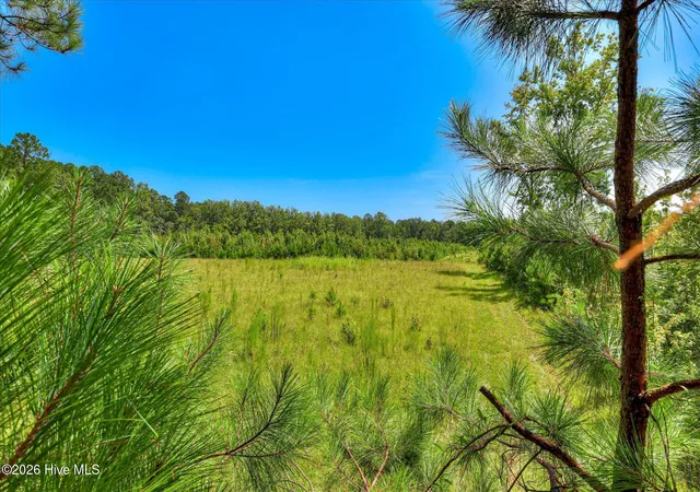 Photo 1 of Land for sale at 170 Landing Rd, Jackson, SC 29831 | MLS# 100597522 | Listing updated on 2026-08-29