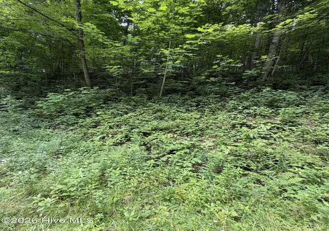 Photo 3 of Land for sale at Lot 4 Outlook Rd, Murphy, NC 28906 | MLS# 100589828 | Listing updated on 2026-09-01
