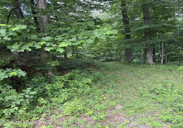 Photo 5 of Land for sale at Lot 4 Outlook Rd, Murphy, NC 28906 | MLS# 100589828 | Listing updated on 2026-09-01
