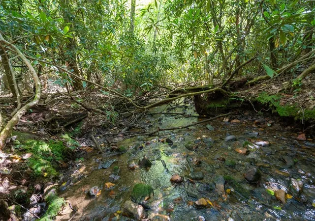 Photo 1 of Land for sale at 2698 Ac Tusquittee, Hayesville, NC 28904 | MLS# 98525025 | Listing updated on 2026-08-25