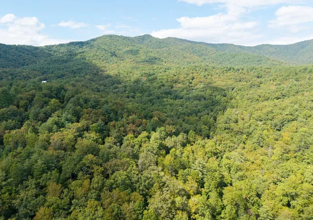 Photo 35 of Land for sale at 2698 Ac Tusquittee, Hayesville, NC 28904 | MLS# 98525025 | Listing updated on 2026-08-25