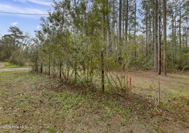 Photo 3 of Land for sale at 5535 Fulton Ave, Castle Hayne, NC 28429 | MLS# 100598578 | Listing updated on 2026-08-24