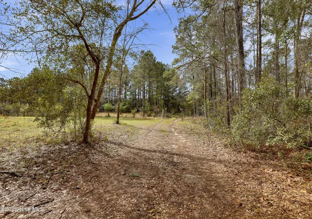 Photo 4 of Land for sale at 5535 Fulton Ave, Castle Hayne, NC 28429 | MLS# 100598578 | Listing updated on 2026-08-24