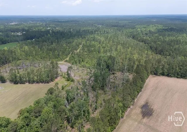 Photo 3 of Land for sale at 0 Old Louisville Rd #4, Guyton, GA 31312 | MLS# SA363091 | Listing updated on 2026-08-23
