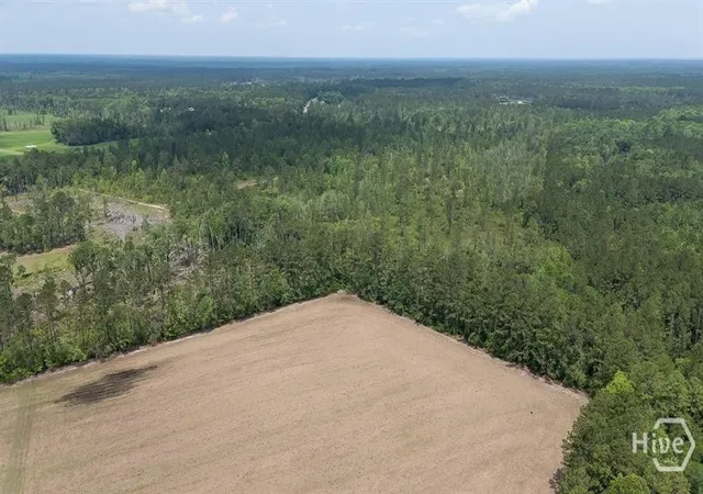 Photo 4 of Land for sale at 0 Old Louisville Rd #4, Guyton, GA 31312 | MLS# SA363091 | Listing updated on 2026-08-23