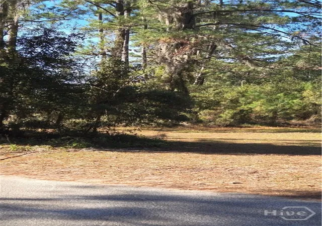 Photo 3 of Land for sale at 14089 Ga Hwy 251, Darien, GA 31305 | MLS# SA359214 | Listing updated on 2026-10-09