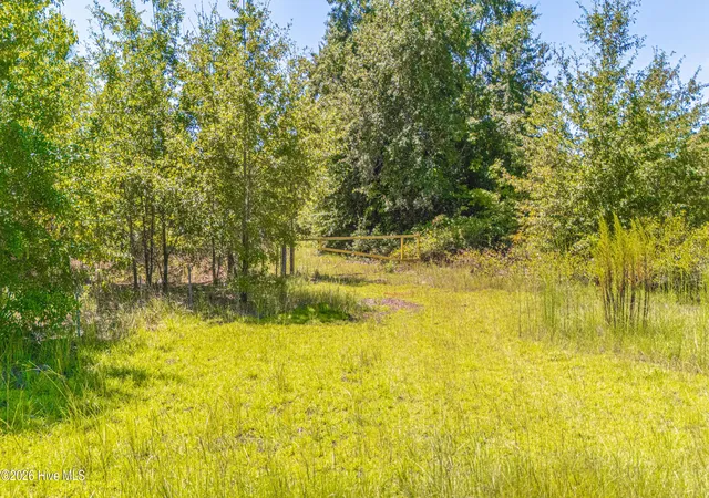Photo 11 of Land for sale at Tbd Blue Springs Rd, Red Springs, NC 28377 | MLS# 100598059 | Listing updated on 2026-08-27