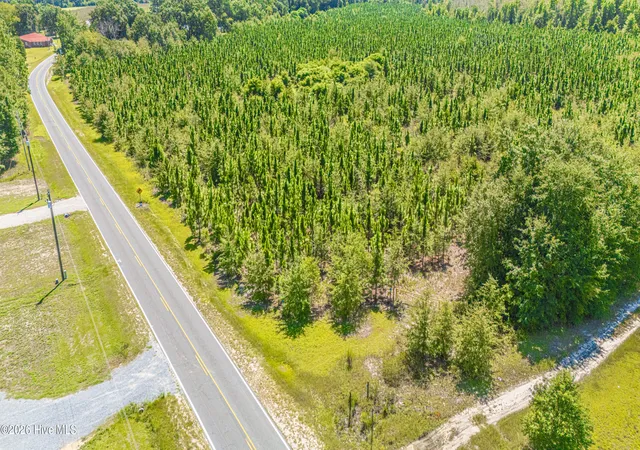 Photo 3 of Land for sale at Tbd Blue Springs Rd, Red Springs, NC 28377 | MLS# 100598059 | Listing updated on 2026-08-27