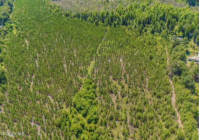 Photo 4 of Land for sale at Tbd Blue Springs Rd, Red Springs, NC 28377 | MLS# 100598059 | Listing updated on 2026-08-27