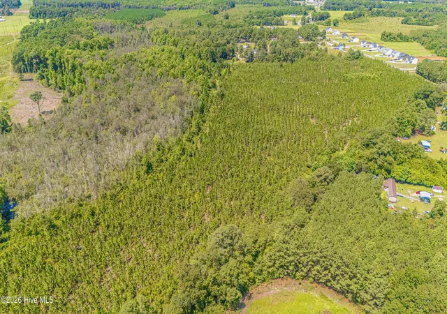 Photo 5 of Land for sale at Tbd Blue Springs Rd, Red Springs, NC 28377 | MLS# 100598059 | Listing updated on 2026-08-27