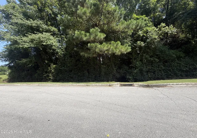 Photo 3 of Land for sale at 260 Sylvester St, Richlands, NC 28574 | MLS# 100595797 | Listing updated on 2026-08-21
