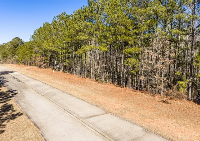 Photo 1 of Land for sale at Lot 64 Wisteria Dr, Lincolnton, GA 30817 | MLS# 98254620 | Listing updated on 2026-08-18
