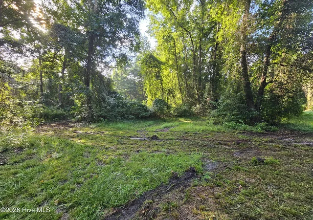 Photo 2 of Land for sale at 82 E Waterway Dr, Belhaven, NC 27810 | MLS# 100594379 | Listing updated on 2026-08-19