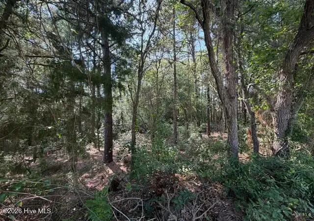 Photo 3 of Land for sale at 289 Okeechobee Rd, Wilmington, NC 28412 | MLS# 100597378 | Listing updated on 2026-08-27