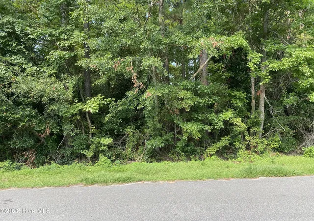 Photo 1 of Land for sale at 325 Trelawney Ct, Wilmington, NC 28411 | MLS# 100598065 | Listing updated on 2026-08-25
