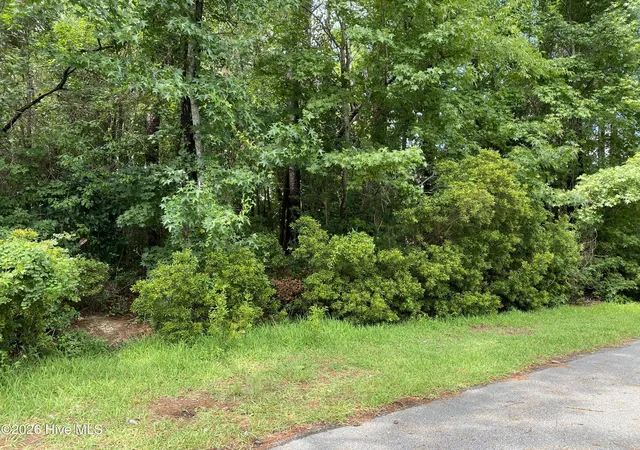 Photo 2 of Land for sale at 325 Trelawney Ct, Wilmington, NC 28411 | MLS# 100598065 | Listing updated on 2026-08-25