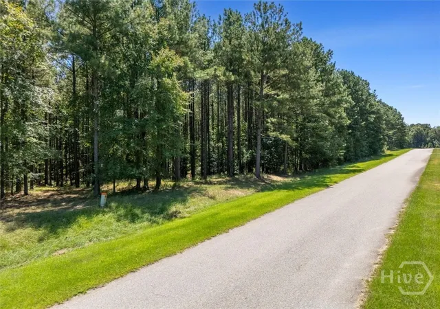 Photo 4 of Land for sale at 1250 Striper Cvs, Tignall, GA 30668 | MLS# CL361745 | Listing updated on 2026-08-26