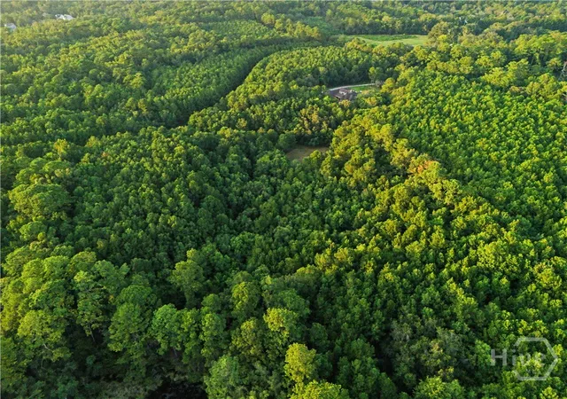 Photo 3 of Land for sale at 105 Sanctuary Cross Dr, Savannah, GA 31419 | MLS# SA362999 | Listing updated on 2026-08-19