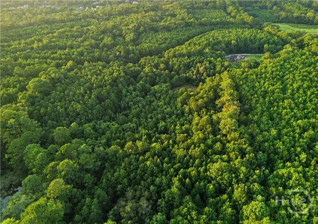 Photo 3 of Land for sale at 105 Sanctuary Cross Dr, Savannah, GA 31419 | MLS# SA362999 | Listing updated on 2026-10-01